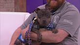 Gigi pays a visit for Pet of the Week!