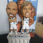 達拉斯獨行俠 小牛 Dirk nowitzki Jason kidd