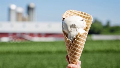 Want to be a ‘Chief Ice Cream Officer’? American Dairy Association North East is hiring