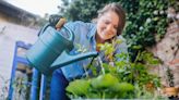 5 consejos de un botánico para mantener con vida a las plantas de tu casa