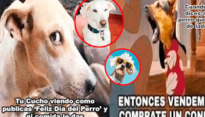 Día Mundial del Perro 2024: Disfruta los memes más hilarantes para celebrar a nuestro mejor amigo de 4 patas