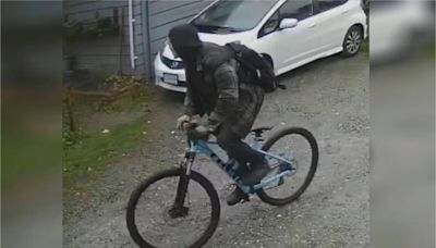 Vancouver police seek suspect in child luring of 11-year-old girl