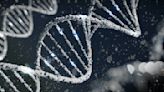 Gene linked to learning difficulties found to have direct impact on learning and memory