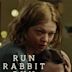 Run Rabbit Run (film)