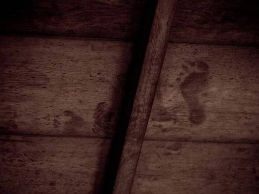即食歷史》京都寺廟天花板的腳印和血痕－記錄著一段悲壯歷史 - 自由評論網