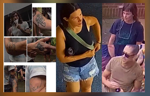 Asheville police seek more persons of interest in West Asheville library assault