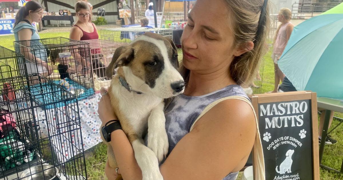 Dog Days of Summer event at Kenosha County farm draws crowd