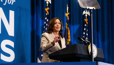 Kamala Harris vows to ‘earn and win’ presidential nomination following Biden’s withdrawal