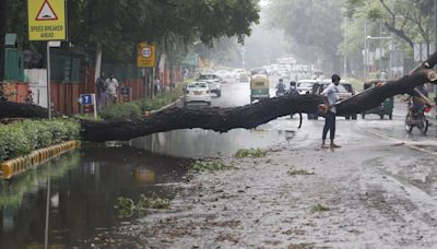 As rain brings Delhi to its knees, L-G cancels leaves of senior government officers, bars holidays for 2 months