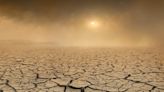 Ecological doom-loops: why ecosystem collapses may occur much sooner than expected – new research