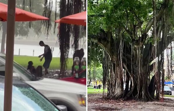 4 teenagers struck by lightning while under tree in downtown St. Pete