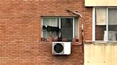 Video | Belgrano: una mujer dejó a su perro al borde de la ventana de un sexto piso y tuvo que ser rescatado