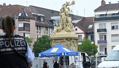 Verwaltungsgericht hält AfD-Versammlung auf Marktplatz in Mannheim für rechtens