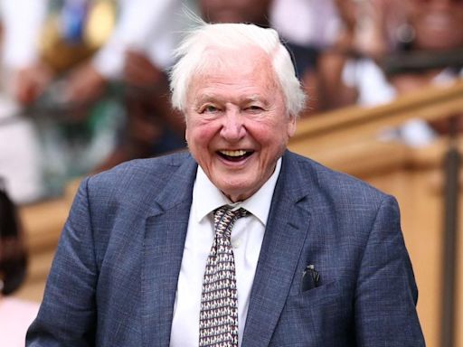 Sir David Attenborough, 98, smiles as entire Wimbledon crowd rises to cheer him