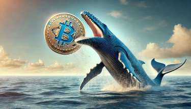 比特幣巨鯨與Pepe Unchained：8月加密貨幣市場的波動與機遇 | Anue鉅亨 - 鏈文