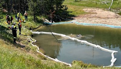 Car carrying 5 people runs off the road and into a hot geyser in Yellowstone