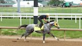 West Saratoga & trainer Larry Demeritte defying odds in Kentucky Derby