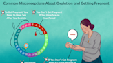 13 Truths About Pregnancy and Ovulation