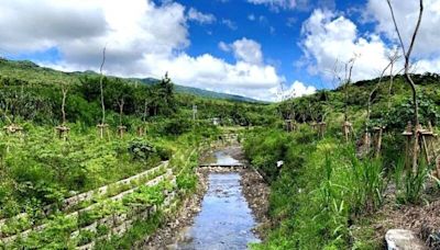 高雄紫蝶幽谷整治野溪 市府：避棲息期採生態工法9月底完工