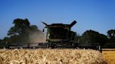 Cooling prices chill drive to add wheat acres in US Corn Belt