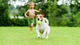 How to help children and the family dog stay safe when they play together