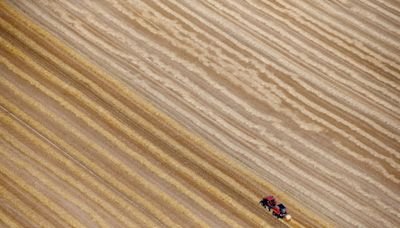 La UE reduce las previsiones de rendimiento de los cultivos tras las duras condiciones meteorológicas