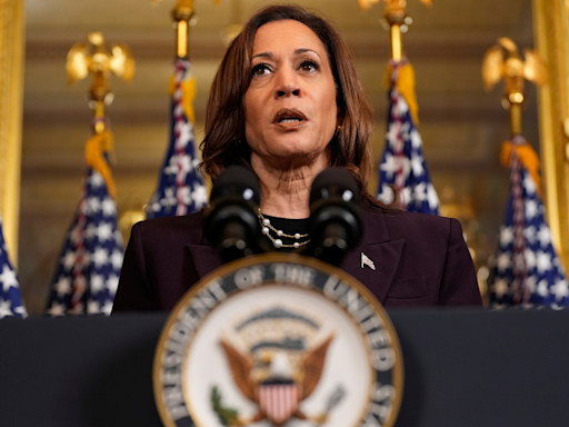 White Women For Kamala Harris: Zoom Call Draws Over 160,000 Voters