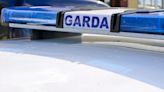 Gardai launch investigation after man shoots at burglar's van following burglary