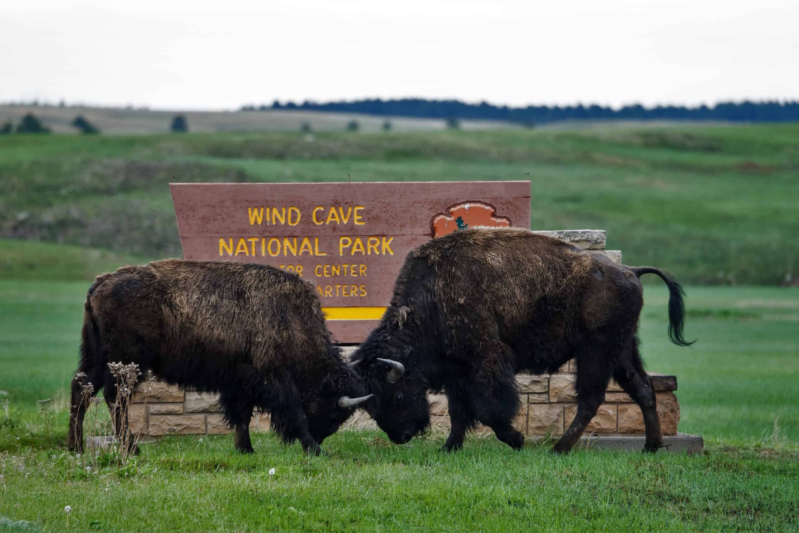 These National Parks Hit Taxpayers With the Most Expensive Entrance Fees