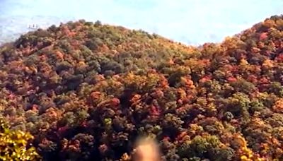 Drought impacting fall foliage in East Tennessee