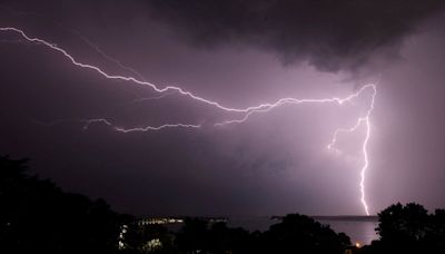 Rancher and 34 cows shockingly killed in lightning strike: ‘It hit them all’