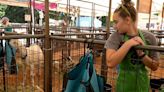 Farmers find new spaces, educational opportunities, at 151st Thurston County Fair