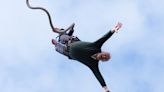 Sir Ed Davey aims for poll bounce with General Election bungee jump