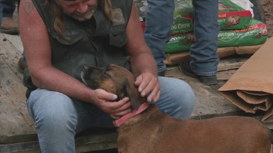 Bay County Motorcycle club donated pounds of dog food to help feed 200 puppies