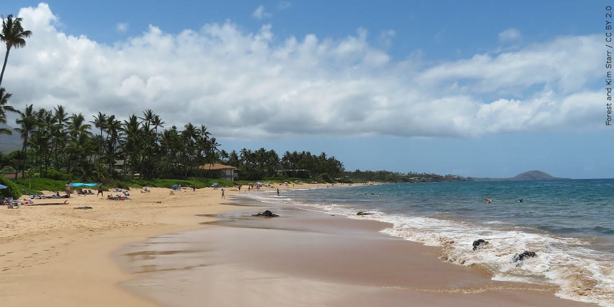 Pregnant mom, husband drown while snorkeling on babymoon in Hawaii; leave behind 18-month-old son