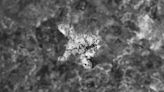 Scraping into floor of Mars crater reveals odd image resembling polar bear, NASA says