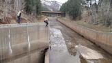Watch Rope-Dangling Rescue of Young Mountain Lions Before Dam Deluge ‘Likely Would Have Drowned Them’