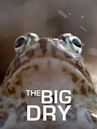 The Big Dry