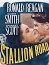 Stallion Road