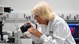 Queen Camilla opts for scientific chic in crisp lab coat and patterned shirt dress for latest royal outing