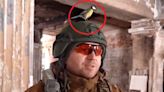 Camera hungry titmouse interrupts Ukrainian soldier’s interview in adorable fashion – funny video