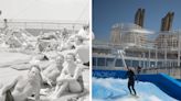 Striking photos show just how much cruise ships have evolved during the last century