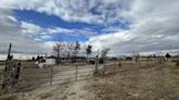 Newly listed homes for sale in the Elko area