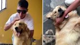 Piero Quispe regresó al Perú y protagonizó emotivo reencuentro con su mascota tras casi medio año en México