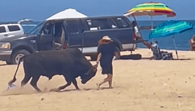 Woman gored by bull after ignoring warnings from beachgoers in Mexico