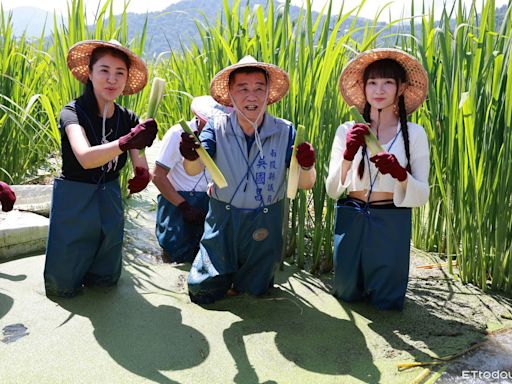 冠軍獎30萬！埔里農會復辦美人腿公主選美 高曼容返鄉代言