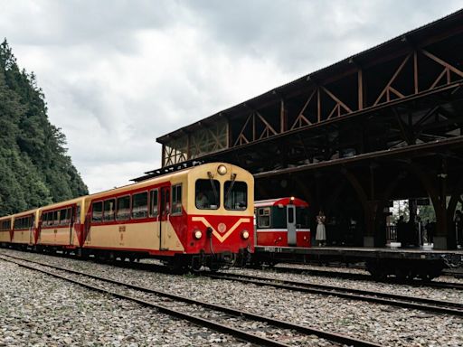 阿里山小火車中斷15年！42號隧道完工 7/1全線恢復通車