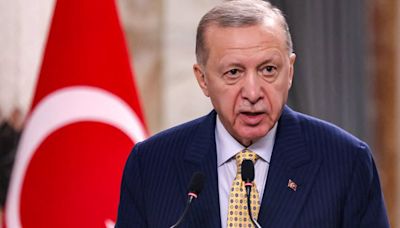 土耳其總統艾爾多安：土耳其醫院收治逾1000名哈瑪斯成員 - 國際