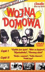 Wojna domowa