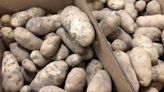 Boise researchers are shocking potatoes with electricity. Can it help Idaho’s ag industry?